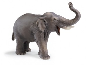 01-индийски слон